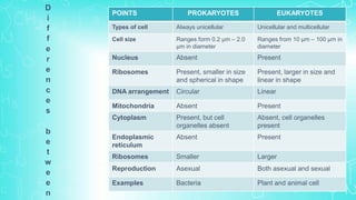 POINTS PROKARYOTES EUKARYOTES
Types of cell Always unicellular Unicellular and multicellular
Cell size Ranges form 0.2 µm – 2.0
µm in diameter
Ranges from 10 µm – 100 µm in
diameter
Nucleus Absent Present
Ribosomes Present, smaller in size
and spherical in shape
Present, larger in size and
linear in shape
DNA arrangement Circular Linear
Mitochondria Absent Present
Cytoplasm Present, but cell
organelles absent
Absent, cell organelles
present
Endoplasmic
reticulum
Absent Present
Ribosomes Smaller Larger
Reproduction Asexual Both asexual and sexual
Examples Bacteria Plant and animal cell
D
i
f
f
e
r
e
n
c
e
s
b
e
t
w
e
e
n
 