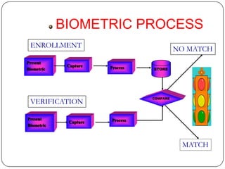 BIOMETRIC PROCESS
 ENROLLMENT                                NO MATCH
Present
             Capture   Process
Biometric                        STORE




                                 COMPARE
 VERIFICATION

Present                Process
             Capture
Biometric



                                            MATCH
 