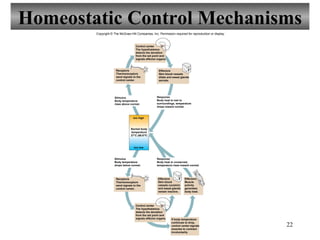 Chapter1 introductiontohumananatomyandphysiology-110726094009-phpapp02 ...