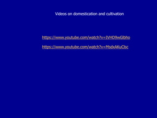 https://www.youtube.com/watch?v=IVHD9wGlbho
https://www.youtube.com/watch?v=MsdxAKuClsc
Videos on domestication and cultivation
 