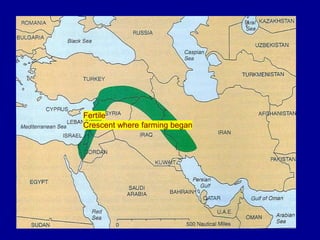 Fertile
Crescent where farming began
 