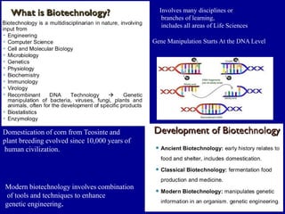 Involves many disciplines or
branches of learning,
includes all areas of Life Sciences
Gene Manipulation Starts At the DNA Level
Domestication of corn from Teosinte and
plant breeding evolved since 10,000 years of
human civilization.
Modern biotechnology involves combination
of tools and techniques to enhance
genetic engineering.
 