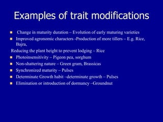 Examples of trait modifications
◼ Change in maturity duration – Evolution of early maturing varieties
◼ Improved agronomic characters -Production of more tillers – E.g. Rice,
Bajra,
Reducing the plant height to prevent lodging – Rice
◼ Photoinsensitivity – Pigeon pea, sorghum
◼ Non-shattering nature – Green gram, Brassicas
◼ Synchronized maturity – Pulses
◼ Determinate Growth habit –determinate growth – Pulses
◼ Elimination or introduction of dormancy –Groundnut
 
