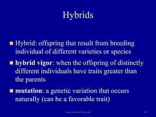 Hybrids
◼ Hybrid: offspring that result from breeding
individual of different varieties or species
◼ hybrid vigor: when the offspring of distinctly
different individuals have traits greater than
the parents
◼ mutation: a genetic variation that occurs
naturally (can be a favorable trait)
34
www.OneLessThing.net
 
