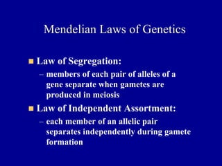 Mendelian Laws of Genetics
◼ Law of Segregation:
– members of each pair of alleles of a
gene separate when gametes are
produced in meiosis
◼ Law of Independent Assortment:
– each member of an allelic pair
separates independently during gamete
formation
 