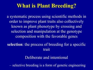 What is Plant Breeding?
a systematic process using scientific methods in
order to improve plant traits also collectively
known as plant phenotype by crossing and
selection and manipulation at the genotype
composition with the favorable genes
selection: the process of breeding for a specific
trait
Deliberate and intentional
– selective breeding is a form of genetic engineering
 