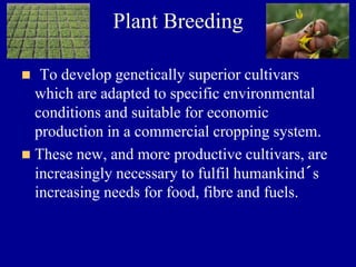 Plant Breeding
◼ To develop genetically superior cultivars
which are adapted to specific environmental
conditions and suitable for economic
production in a commercial cropping system.
◼ These new, and more productive cultivars, are
increasingly necessary to fulfil humankind´s
increasing needs for food, fibre and fuels.
 