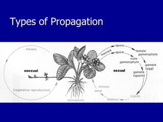 Types of Propagation
#1
#2
#4
#5
#6
#7
#8
#9
#10
 