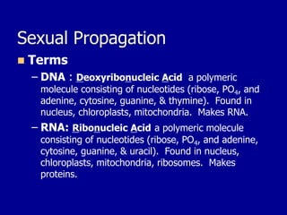 Sexual Propagation
◼ Terms
– DNA : Deoxyribonucleic Acid a polymeric
molecule consisting of nucleotides (ribose, PO4, and
adenine, cytosine, guanine, & thymine). Found in
nucleus, chloroplasts, mitochondria. Makes RNA.
– RNA: Ribonucleic Acid a polymeric molecule
consisting of nucleotides (ribose, PO4, and adenine,
cytosine, guanine, & uracil). Found in nucleus,
chloroplasts, mitochondria, ribosomes. Makes
proteins.
 