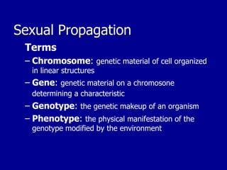 Sexual Propagation
Terms
– Chromosome: genetic material of cell organized
in linear structures
– Gene: genetic material on a chromosone
determining a characteristic
– Genotype: the genetic makeup of an organism
– Phenotype: the physical manifestation of the
genotype modified by the environment
 