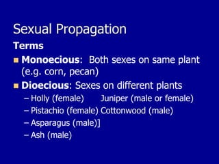 Sexual Propagation
Terms
◼ Monoecious: Both sexes on same plant
(e.g. corn, pecan)
◼ Dioecious: Sexes on different plants
– Holly (female) Juniper (male or female)
– Pistachio (female) Cottonwood (male)
– Asparagus (male)]
– Ash (male)
 