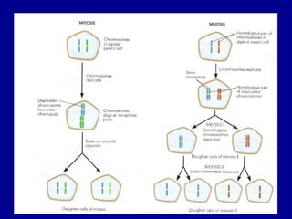 Chapter 1-Introduction to Plant Breeding-.pdf