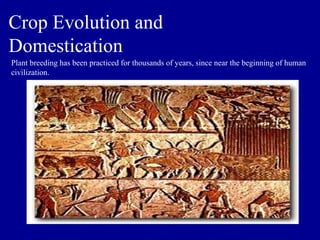 Crop Evolution and
Domestication
Plant breeding has been practiced for thousands of years, since near the beginning of human
civilization.
 