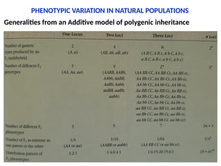 Additive Inheritance Chapter 1 - Introduction to Population Genetics.pptx