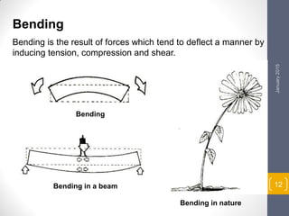 Chapter 1 introduction to structure | PDF