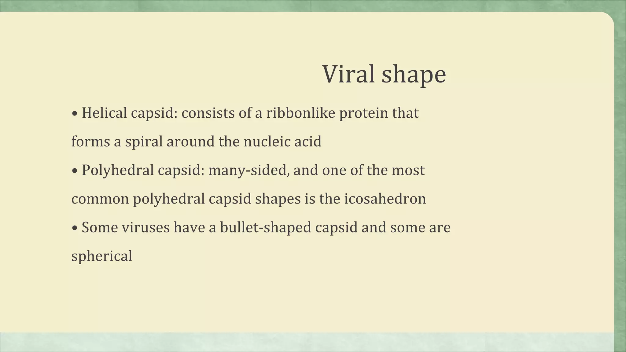 Viral shape
• Helical capsid: consists of a ribbonlike protein that
forms a spiral around the nucleic acid
• Polyhedral capsid: many-sided, and one of the most
common polyhedral capsid shapes is the icosahedron
• Some viruses have a bullet-shaped capsid and some are
spherical
 