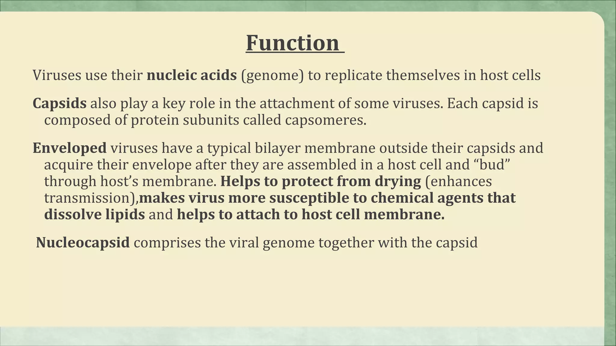 Function
Viruses use their nucleic acids (genome) to replicate themselves in host cells
Capsids also play a key role in the attachment of some viruses. Each capsid is
 composed of protein subunits called capsomeres.
Enveloped viruses have a typical bilayer membrane outside their capsids and
 acquire their envelope after they are assembled in a host cell and “bud”
 through host’s membrane. Helps to protect from drying (enhances
 transmission),makes virus more susceptible to chemical agents that
 dissolve lipids and helps to attach to host cell membrane.
Nucleocapsid comprises the viral genome together with the capsid
 