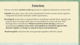 Function
Viruses use their nucleic acids (genome) to replicate themselves in host cells
Capsids also play a key role in the attachment of some viruses. Each capsid is
 composed of protein subunits called capsomeres.
Enveloped viruses have a typical bilayer membrane outside their capsids and
 acquire their envelope after they are assembled in a host cell and “bud”
 through host’s membrane. Helps to protect from drying (enhances
 transmission),makes virus more susceptible to chemical agents that
 dissolve lipids and helps to attach to host cell membrane.
Nucleocapsid comprises the viral genome together with the capsid
 