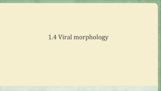1.4 Viral morphology
 