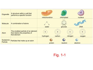 A structure within a cell that
Organelle
            performs a specific function
                                                  mitochondrion            chloroplast                  nucleus


Molecule    A combination of atoms
                                                     water                     glucose                    DNA

            The smallest particle of an element
Atom        that retains the properties of
            that element
                                                  hydrogen            carbon             nitrogen          oxygen

Subatomic Particles that make up an atom
Particle
                                                             proton            neutron              electron




                                                                  Fig. 1-1
 