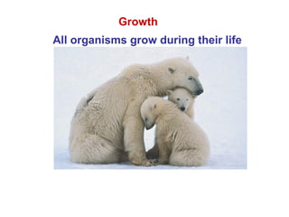 Growth
All organisms grow during their life
 