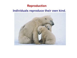 Reproduction
Individuals reproduce their own kind.
 