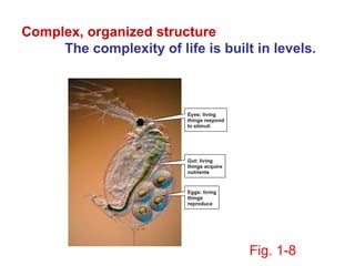 Complex, organized structure
     The complexity of life is built in levels.




                                    Fig. 1-8
 