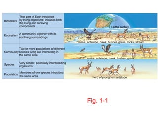 That part of Earth inhabited
Biosphere by living organisms; includes both
          the living and nonliving
          components                                                            Earth's surface

             A community together with its
Ecosystem
             nonliving surroundings
                                                       snake, antelope, hawk, bushes, grass, rocks, stream

          Two or more populations of different
Community species living and interacting in
          the same area
                                                             snake, antelope, hawk, bushes, grass
             Very similar, potentially interbreeding
Species
             organisms

             Members of one species inhabiting
Population
             the same area                                        herd of pronghorn antelope




                                                              Fig. 1-1
 