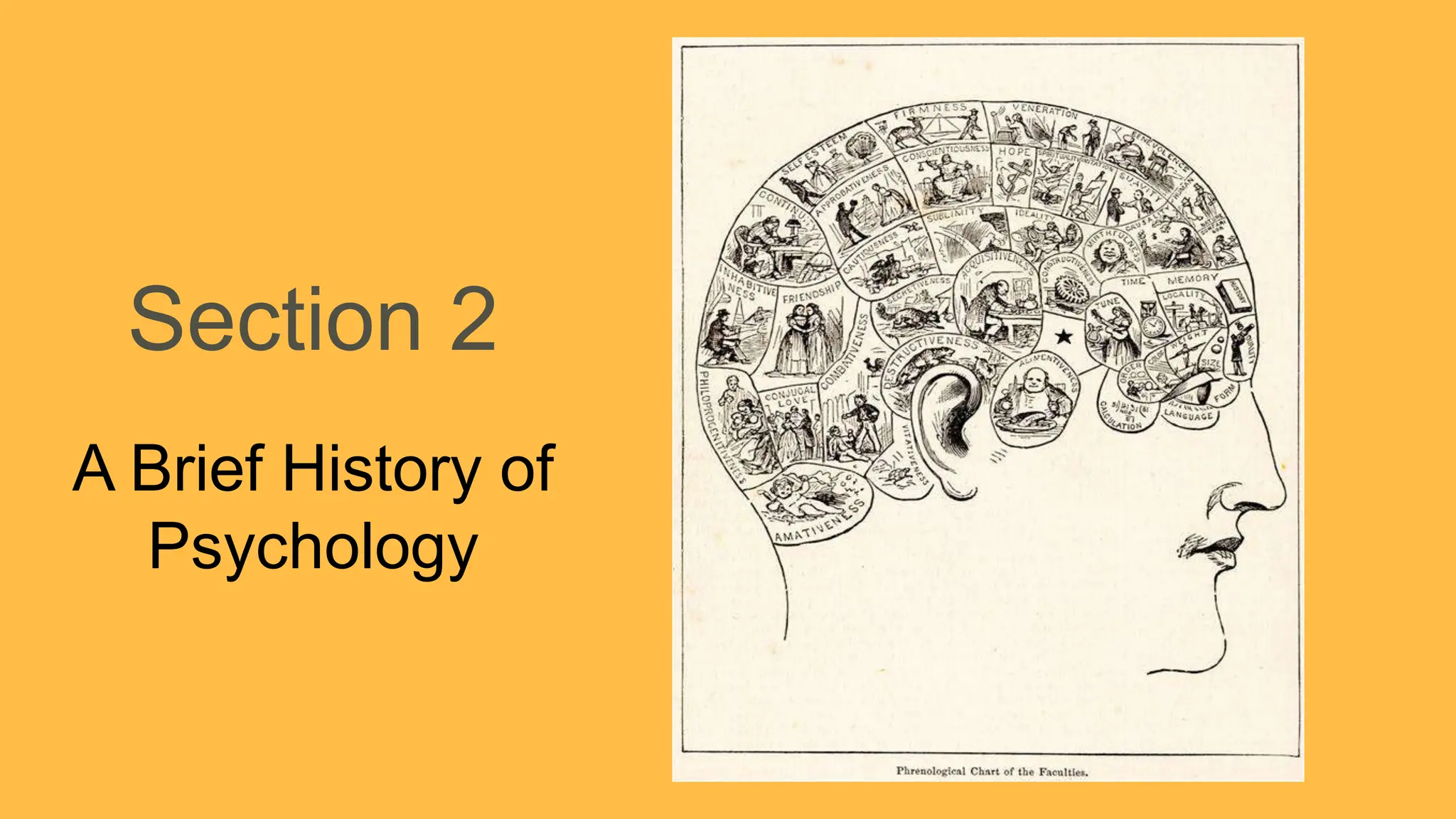 Section 2
A Brief History of
Psychology
 