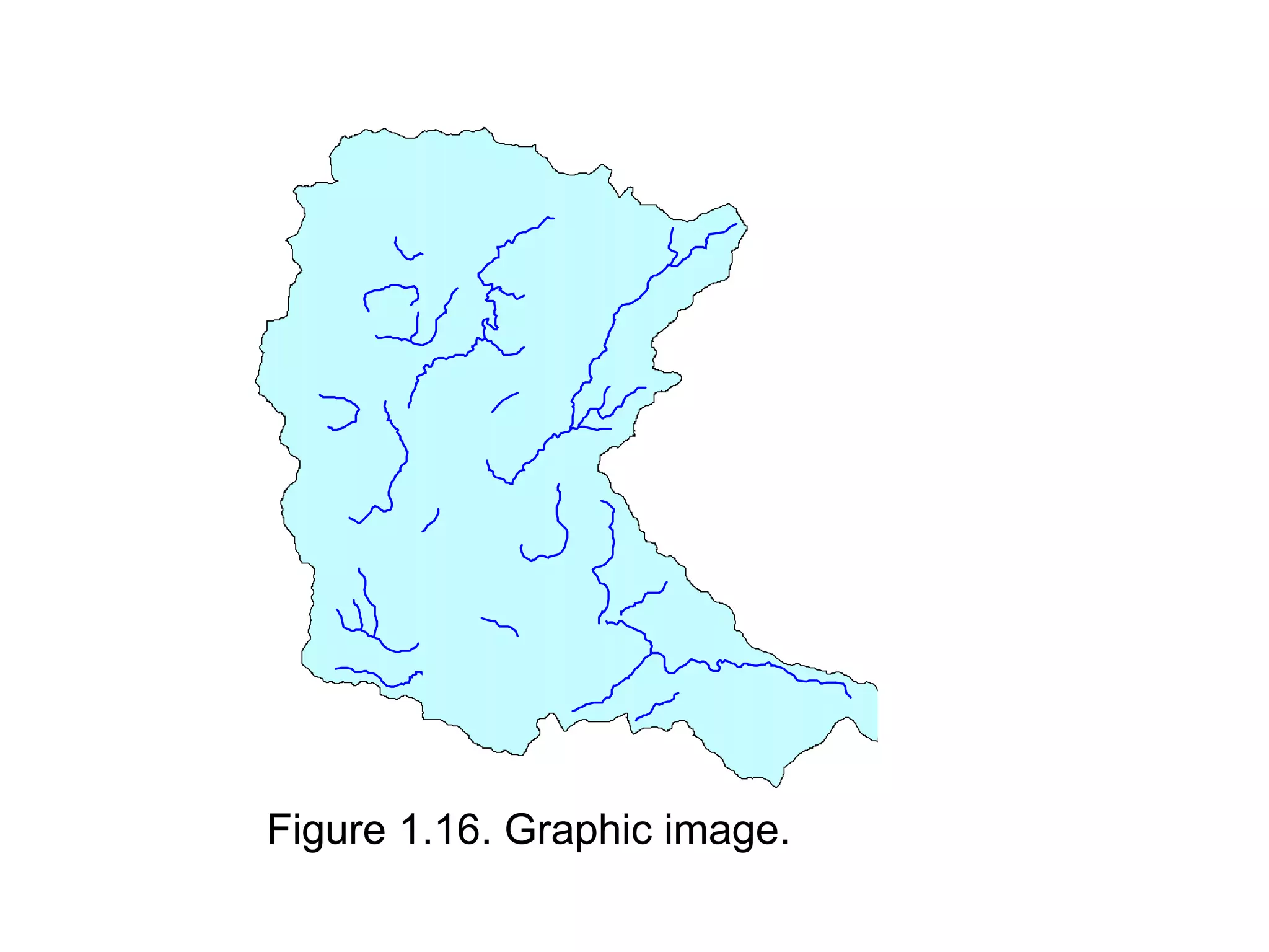 Figure 1.16. Graphic image.
 