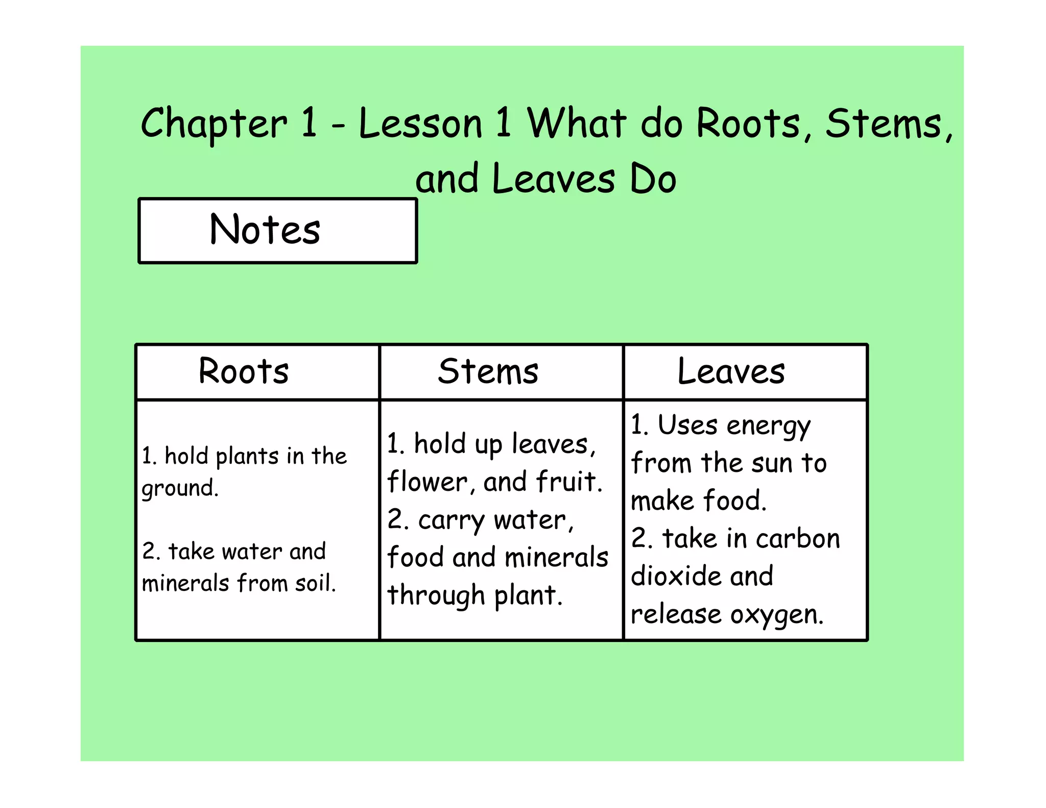 Chapter 1 lesson 1 PPT