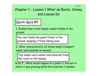 10-1-12

Chapter 1 - Lesson 1 What do Roots, Stems,
               and Leaves Do

Quick Quiz #1
1. Explain how a root keeps a plant stable in the
ground.
 The root holds the plant firmly in the
 ground, keeping it from falling over.

2. What characteristic of stems helps transport
water and minerals to leaves?
  Tiny tubes carry water and minerals from
  the roots to the leaves.
H.O.T. What would happen to a plant if the soil in
which it was growing lackd the minerals it needed.
 