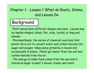 Chapter 1 - Lesson 1 What do Roots, Stems,
               and Leaves Do

Background
· Plant leaves have different shapes and sizes. Leaves may
 be needle-shaped, lobed, flat, wide, curled, or long and
 slender.
· Photosynthesis, the series of chemical reactions that
 plants carry out to convert water and carbon dioxide into
 sugar and oxygen, takes place primarily in leaves and
 occasionally in stems. Plants get water from the soil and
 carbon dioxide from the air.
· The energy to make food comes from the sun and is
 stored as sugar in plant's leaves, stems, and roots.
 