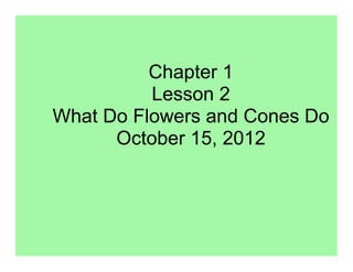Chapter 1
          Lesson 2
What Do Flowers and Cones Do
      October 15, 2012
 