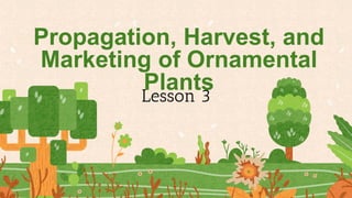 Propagation, Harvest, and
Marketing of Ornamental
Plants
 