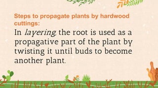Chapter1-Lesson3-Propagation, Harvest, and Marketing of Ornamental ...