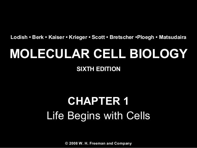 Cell Cell