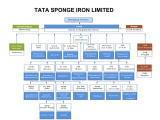 TATA SPONGE IRON LIMITED
 