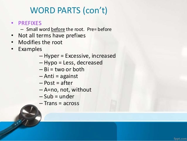 Medical Terminology Quizlet Chapter 1