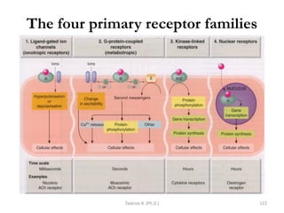 The four primary receptor families
Tadesse B. (Ph.D.) 122
 