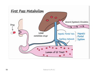 55 Tadesse B. (Ph.D.)
 
