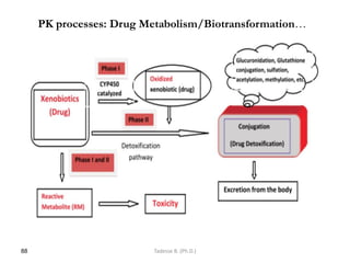 PK processes: Drug Metabolism/Biotransformation…
88 Tadesse B. (Ph.D.)
 