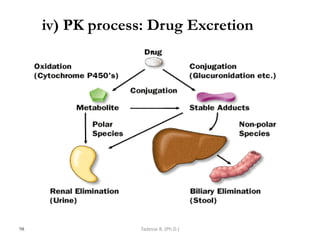 iv) PK process: Drug Excretion
98 Tadesse B. (Ph.D.)
 