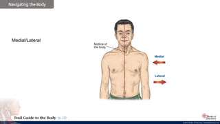 © 2019 Books of Discovery, booksofdiscovery.com
© 2019 Books of Discovery, booksofdiscovery.com
Navigating the Body
(p. 22)
Medial/Lateral
 