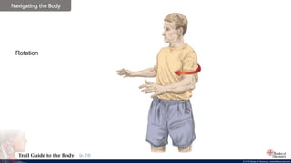 © 2019 Books of Discovery, booksofdiscovery.com
© 2019 Books of Discovery, booksofdiscovery.com
Navigating the Body
(p. 23)
Rotation
 