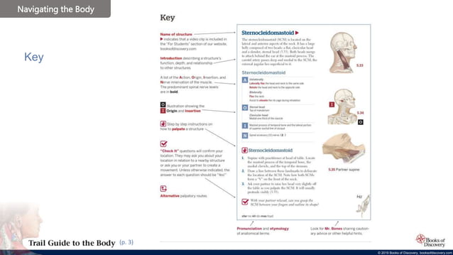 Chapter+1+-+Navigating+the+Body.pptx