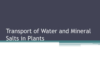 Transport of Water and Mineral
Salts in Plants
 