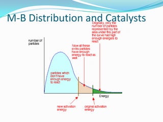 M-B Distribution and Catalysts

 