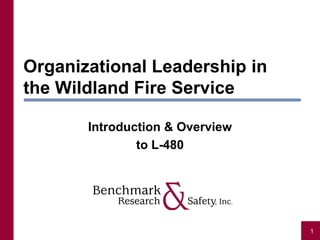 Organizational Leadership in
the Wildland Fire Service

       Introduction & Overview
               to L-480




                                 1
 