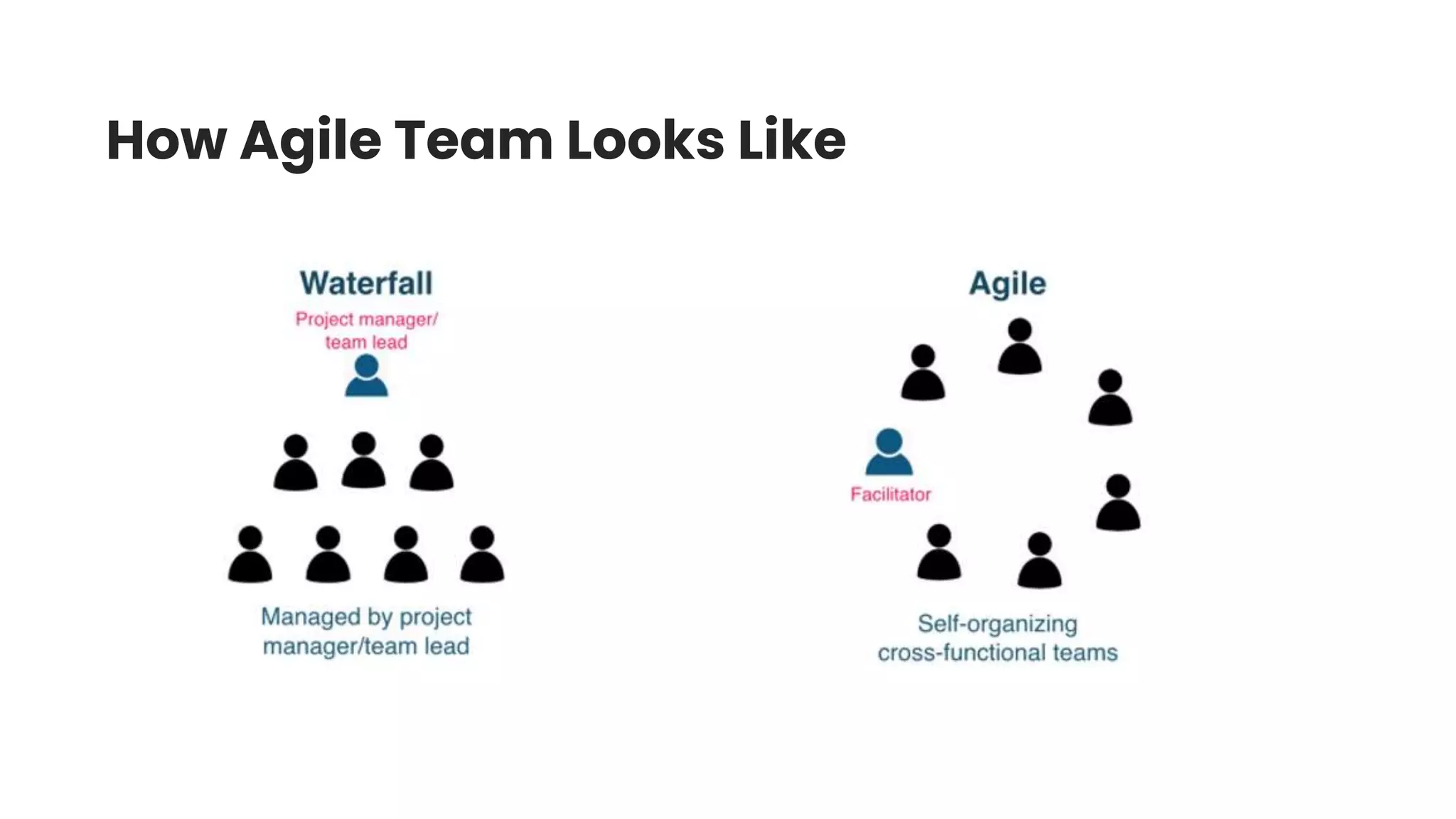 How Agile Team Looks Like
 